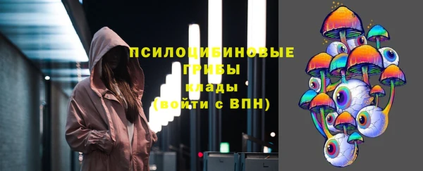 прущие грибы Алексин