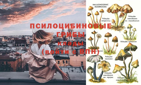 прущие грибы Алексин